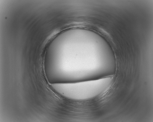 X0000062651411200512211022