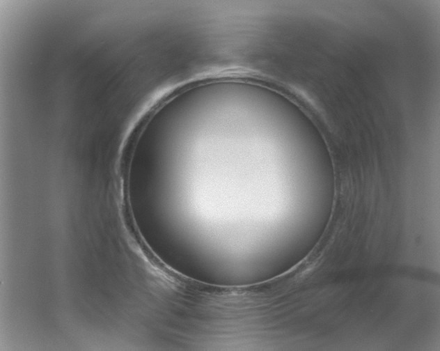 X0000062651414200512211022