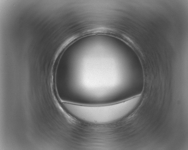 X0000062651418200512211022