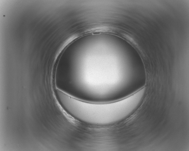 X0000062651426200512211022