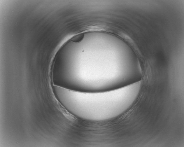 X0000062651427200512211022