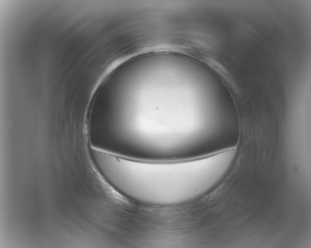 X0000062651428200512211022