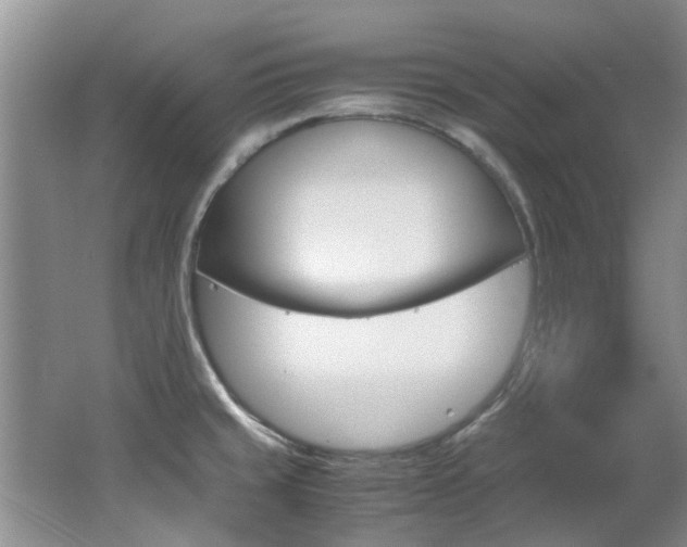 X0000062651429200512211022