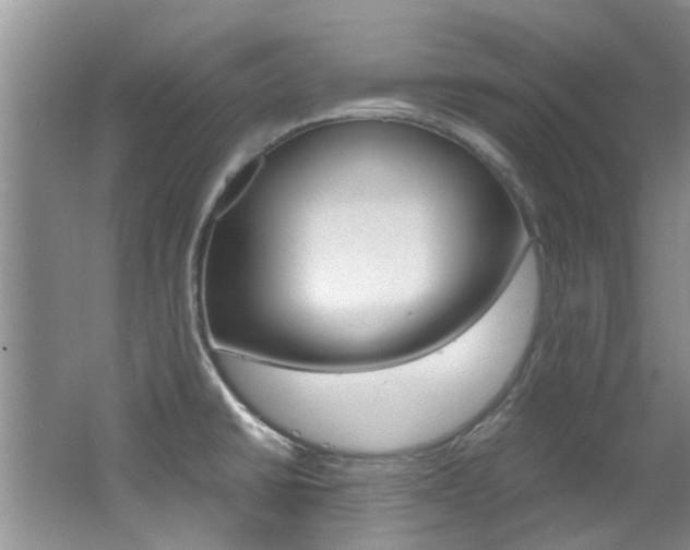 X0000062651430200512211022