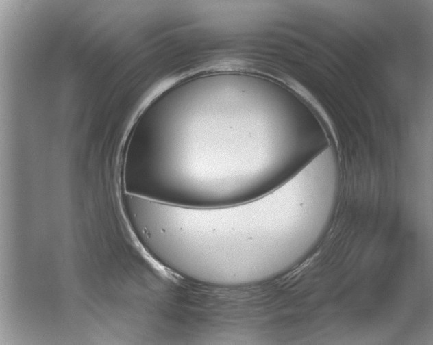 X0000062651437200512211022