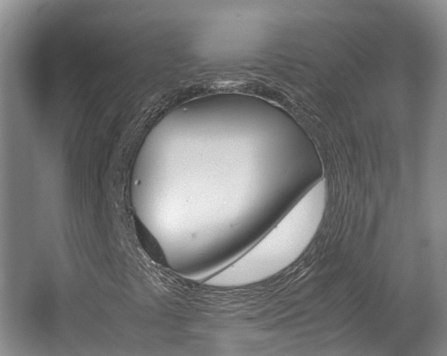 X0000062651441200512211021