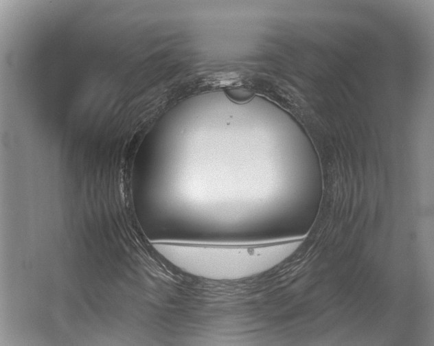 X0000062651442200512211021
