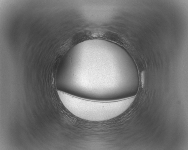 X0000062651443200512211021