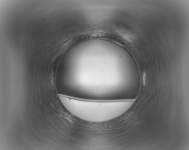 X0000062651444200512211021