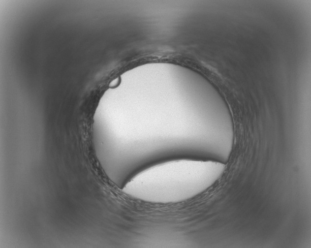 X0000062651447200512211021