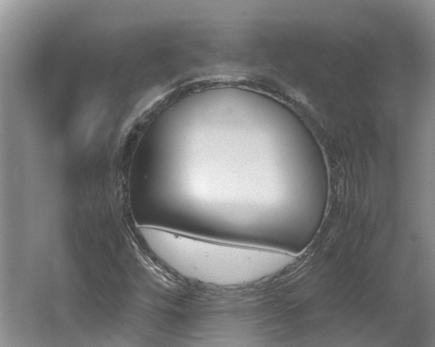X0000062651448200512211021