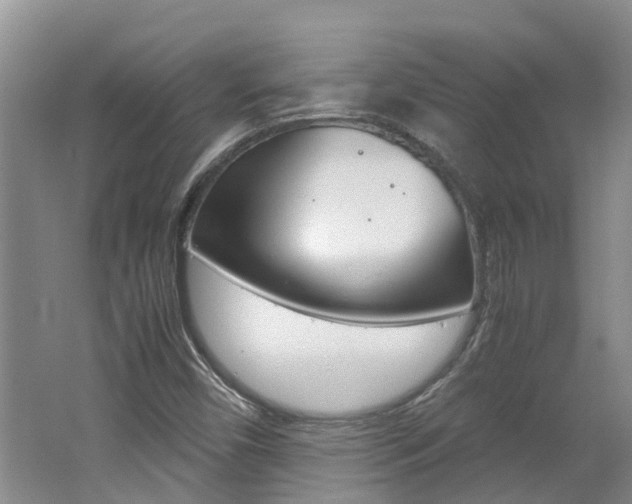 X0000062651450200512211021