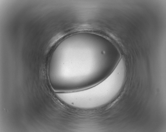 X0000062651453200512211021