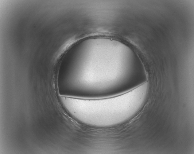 X0000062651455200512211021