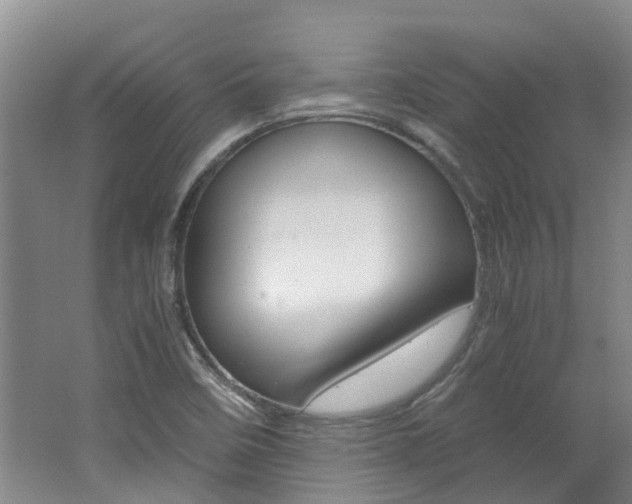 X0000062651458200512211021