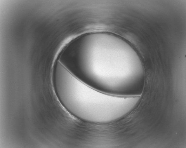 X0000062651472200512211021