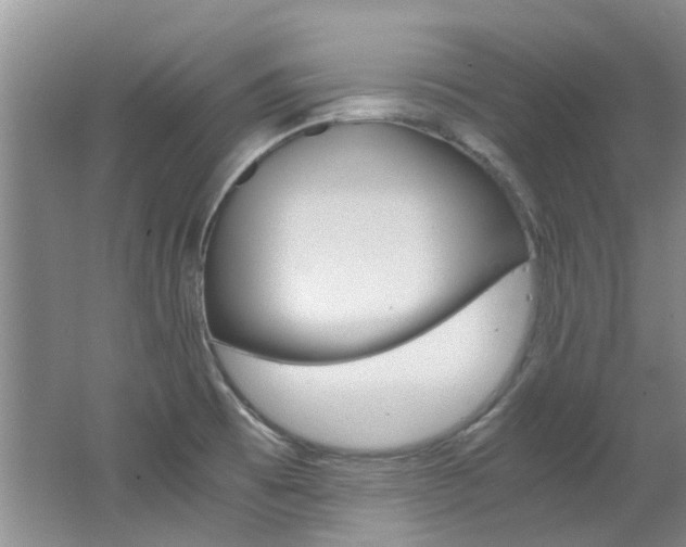 X0000062651473200512211021