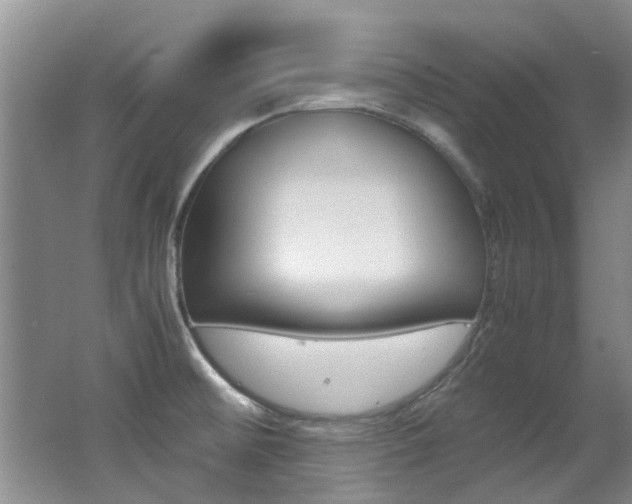 X0000062651476200512211021