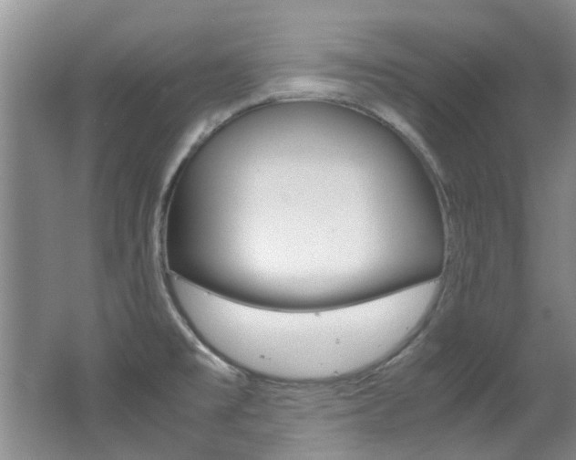 X0000062651477200512211021