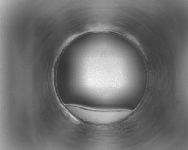 X0000062651480200512211021