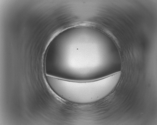 X0000062651483200512211021