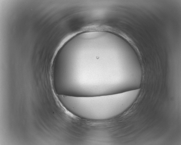 X0000062651486200512211021