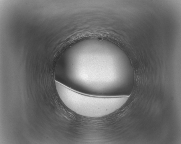 X0000062651490200512211020