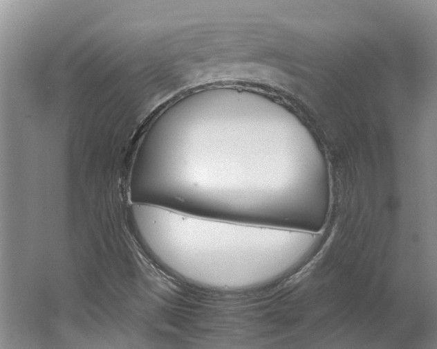 X0000062651497200512211020