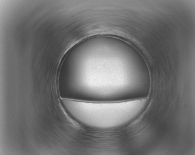 X0000062651513200512211020