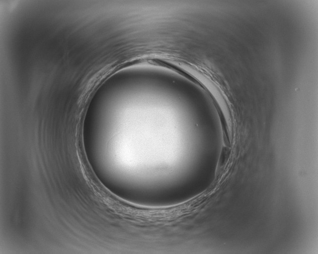 X0000062650001200512211244
