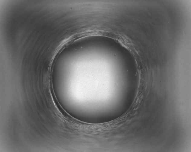 X0000062650003200512211244