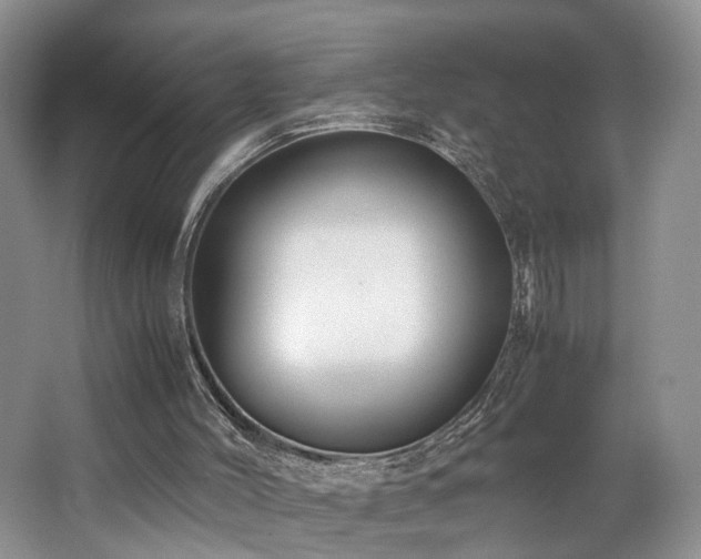X0000062650004200512211244
