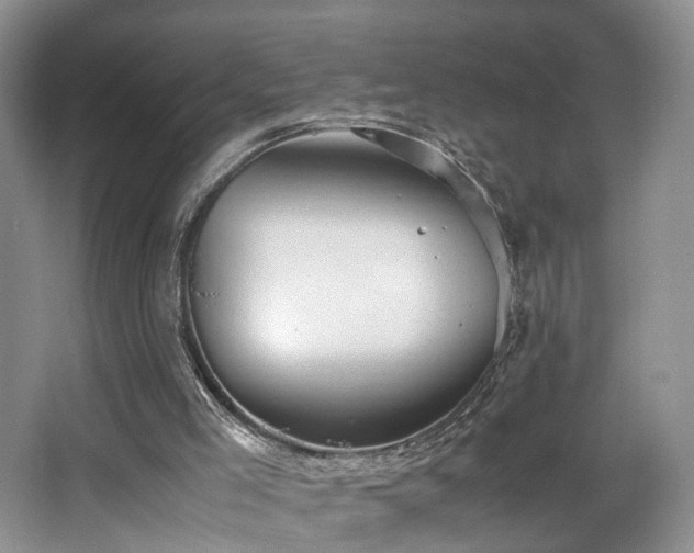 X0000062650005200512211244
