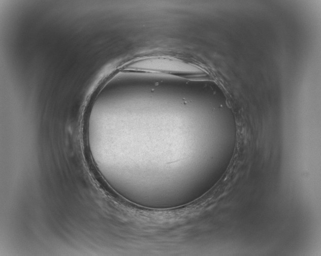 X0000062650006200512211244