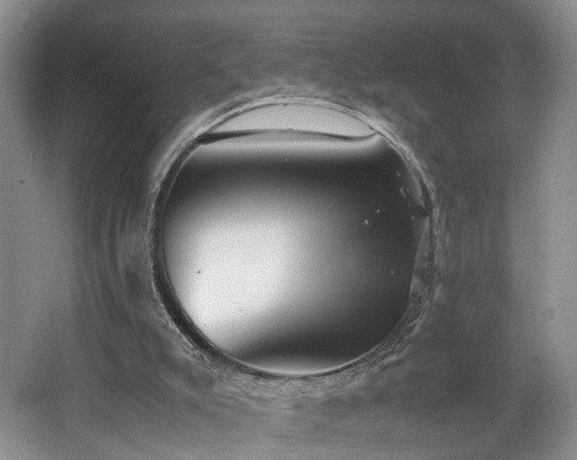 X0000062650007200512211244
