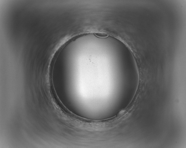 X0000062650008200512211244