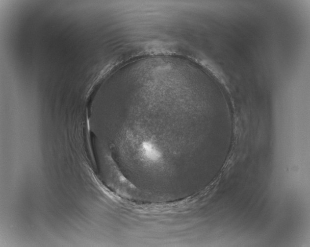 X0000062650009200512211244