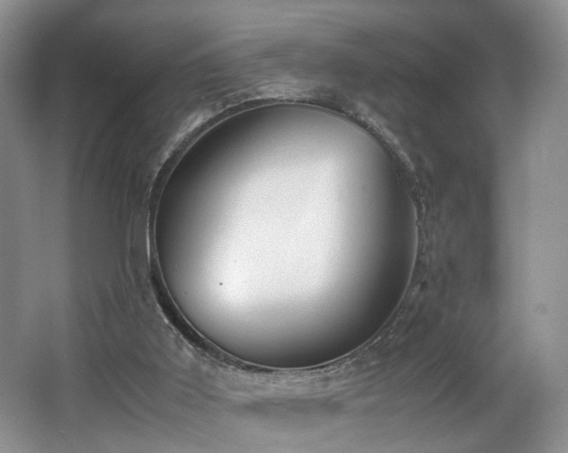 X0000062650011200512211244