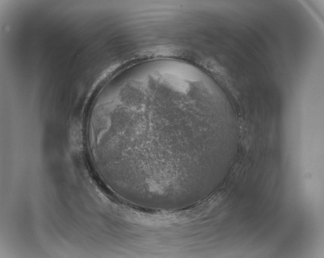 X0000062650012200512211244