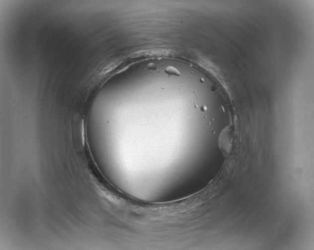 X0000062650013200512211244