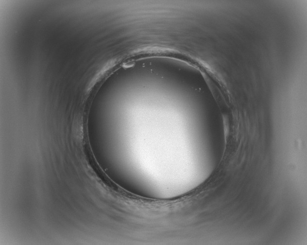 X0000062650015200512211244