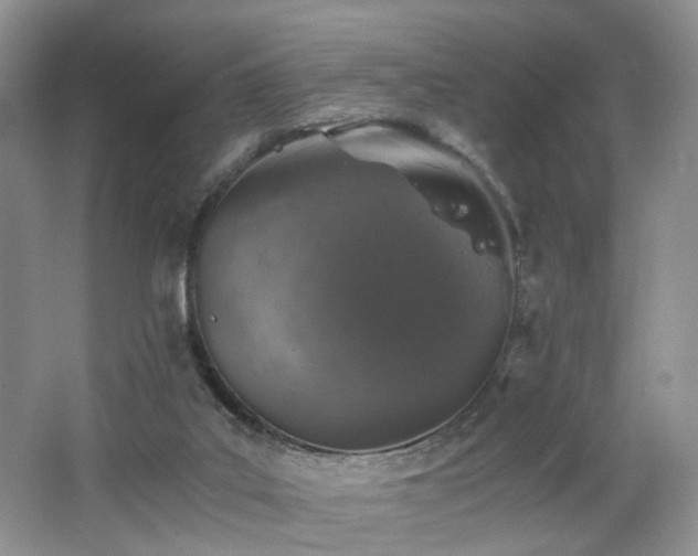 X0000062650019200512211243
