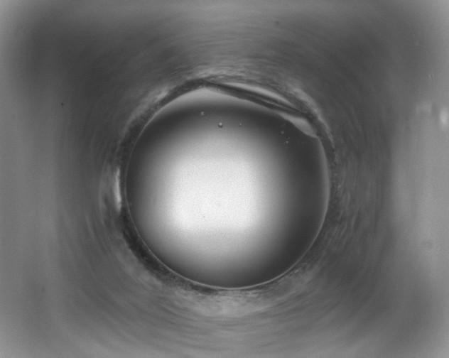 X0000062650020200512211243
