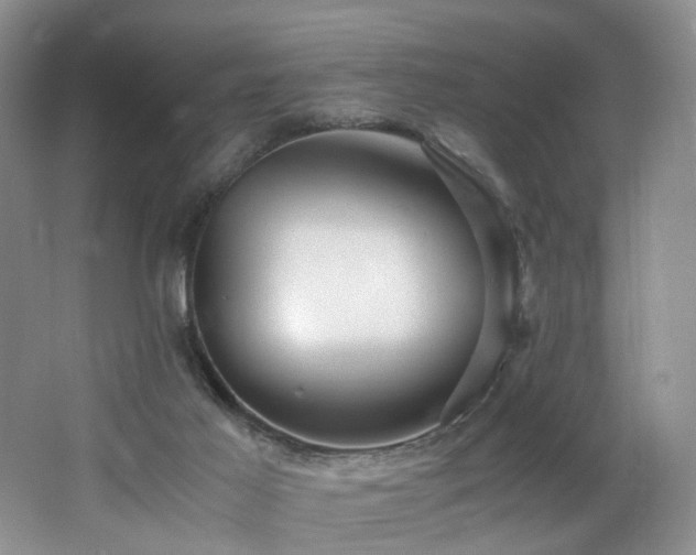 X0000062650021200512211243