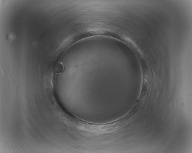 X0000062650023200512211243