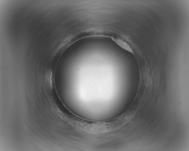 X0000062650024200512211243