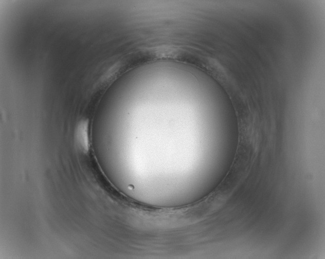 X0000062650028200512211243