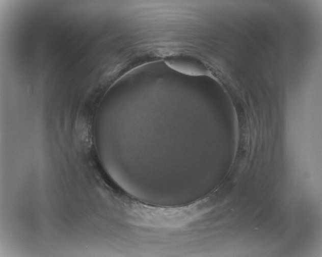 X0000062650031200512211243