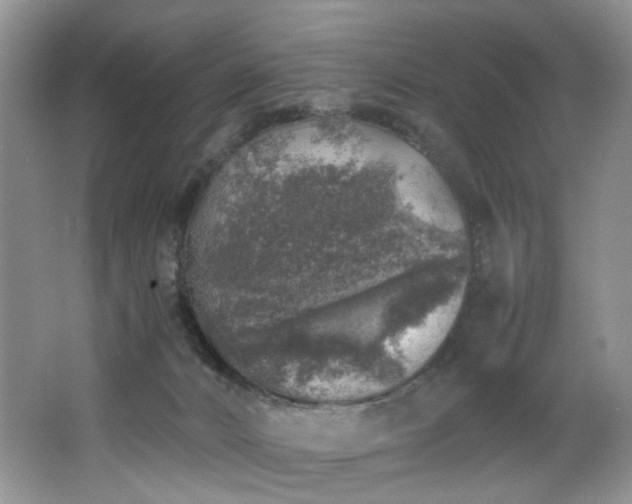 X0000062650032200512211243