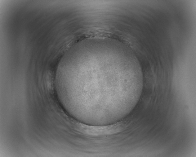 X0000062650034200512211243